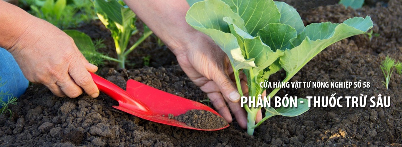 Tầm nhìn sứ mệnh